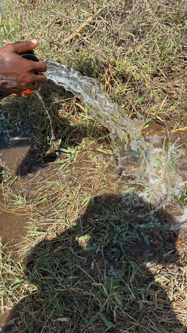 Sustainable Agriculture Initiative - Image 16